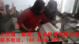 文章附圖