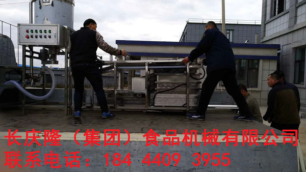 皮6.jpg
