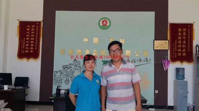 全自動豆腐設備