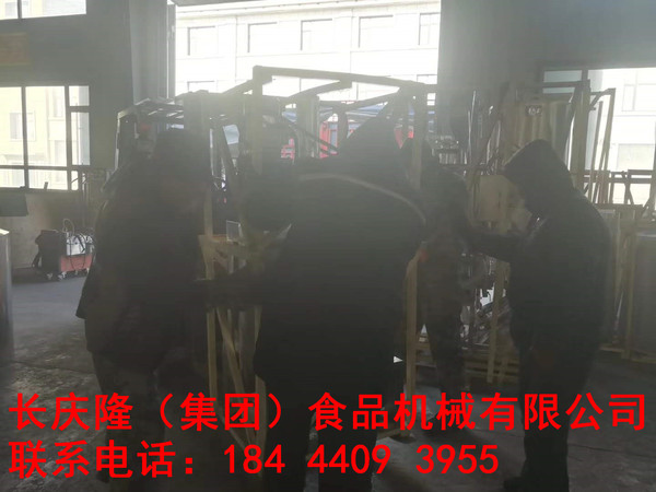 皮皮2.jpg