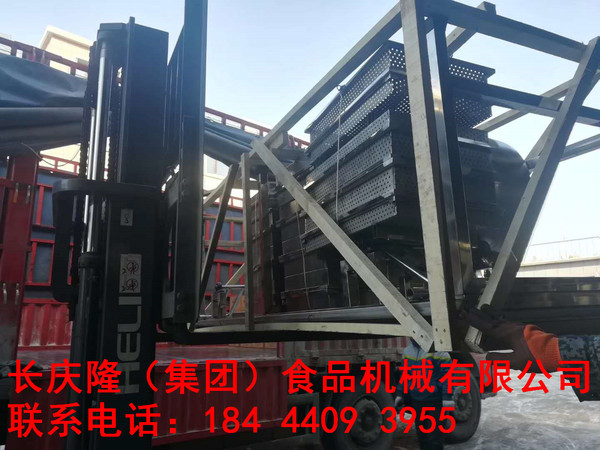 皮皮8.jpg