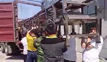 文章附圖