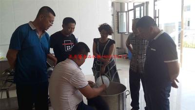 沈陽豆腐皮機器
