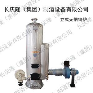 立式无烟锅炉