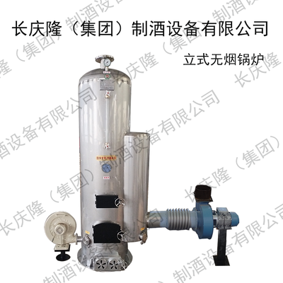 立式无烟锅炉